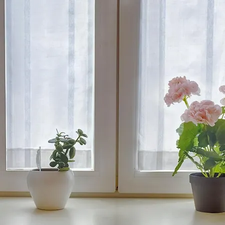 Mihaela - Charme Near The Station *